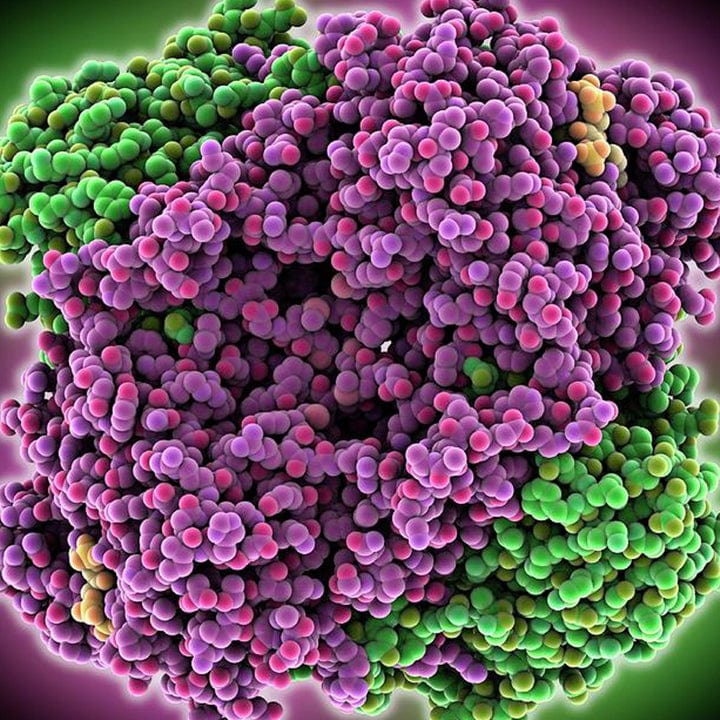 Luhaka® WhiteReverse 25 ingredient 2 80d5018c de5d 431b a113 693706cde102